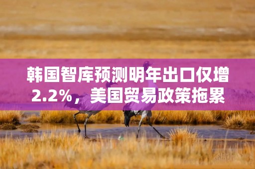 韩国智库预测明年出口仅增2.2%，美国贸易政策拖累增长