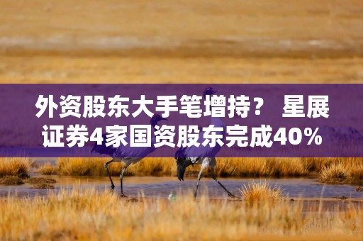 外资股东大手笔增持？ 星展证券4家国资股东完成40%股权转让