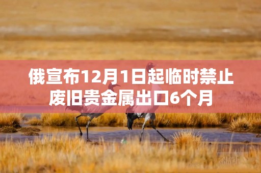 俄宣布12月1日起临时禁止废旧贵金属出口6个月