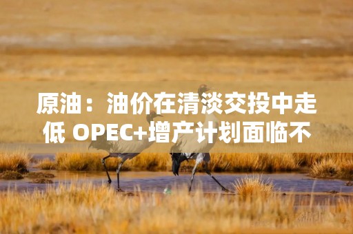 原油：油价在清淡交投中走低 OPEC+增产计划面临不确定性