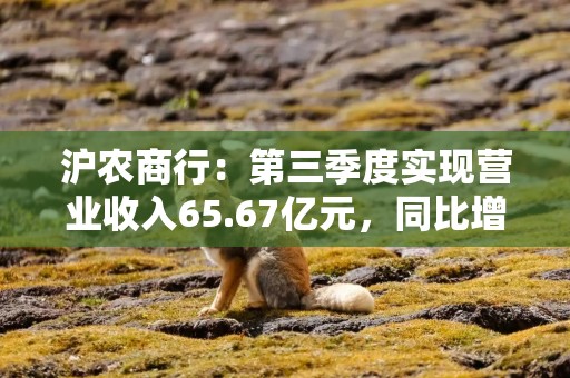 沪农商行：第三季度实现营业收入65.67亿元，同比增长0.58%