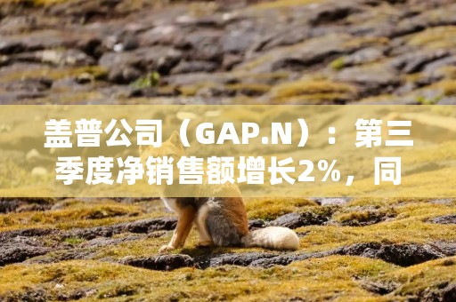 盖普公司（GAP.N）：第三季度净销售额增长2%，同店销售额增长1%