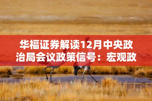 华福证券解读12月中央政治局会议政策信号：宏观政策更加积极有为