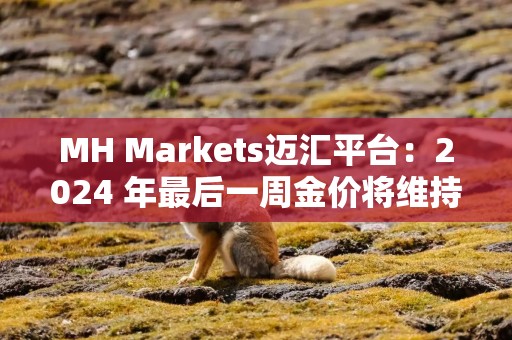 MH Markets迈汇平台：2024 年最后一周金价将维持稳定