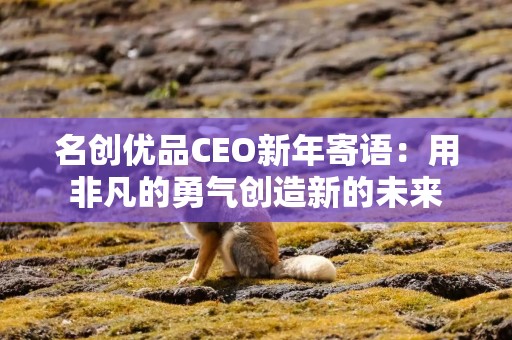 名创优品CEO新年寄语：用非凡的勇气创造新的未来