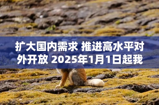 扩大国内需求 推进高水平对外开放 2025年1月1日起我国调整部分商品关税税率税目