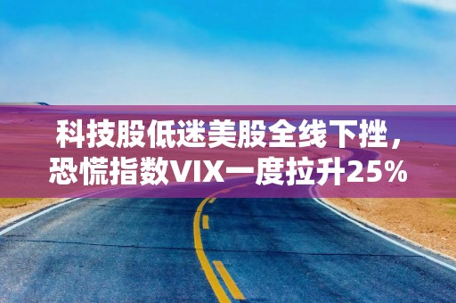 科技股低迷美股全线下挫，恐慌指数VIX一度拉升25%