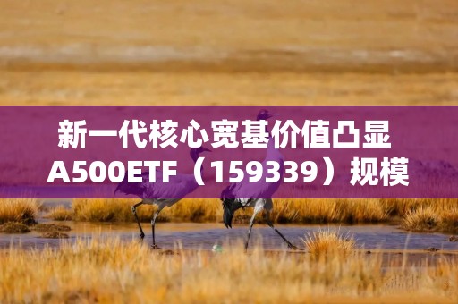 新一代核心宽基价值凸显 A500ETF（159339）规模破百亿