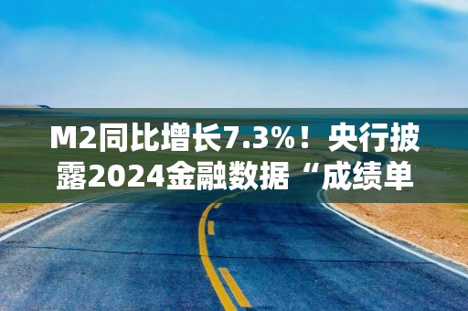 M2同比增长7.3%！央行披露2024金融数据“成绩单”，政府债发力撑起12月社融，信贷需求仍待改善