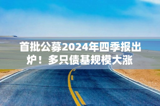 首批公募2024年四季报出炉！多只债基规模大涨