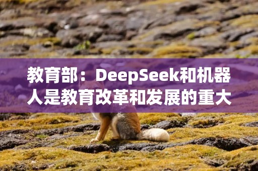 教育部：DeepSeek和机器人是教育改革和发展的重大机遇