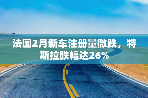 法国2月新车注册量微跌，特斯拉跌幅达26%