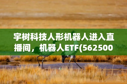 宇树科技人形机器人进入直播间，机器人ETF(562500)逆市反弹！