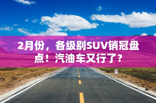 2月份，各级别SUV销冠盘点！汽油车又行了？