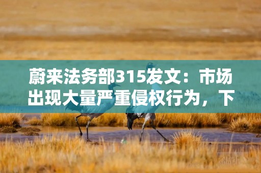 蔚来法务部315发文：市场出现大量严重侵权行为，下周披露打击黑公关进展