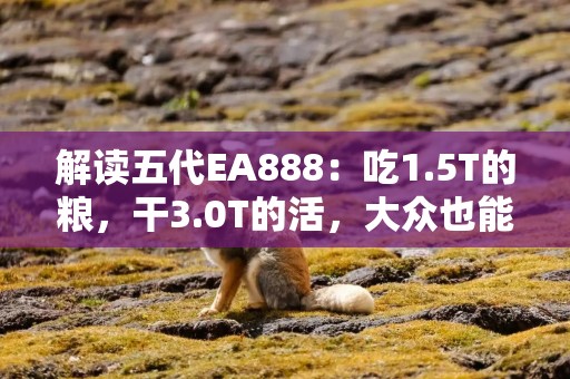 解读五代EA888：吃1.5T的粮，干3.0T的活，大众也能一车传三代？