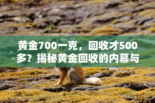 黄金700一克，回收才500多？揭秘黄金回收的内幕与注意事项