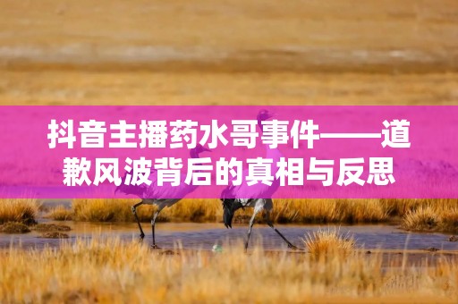 抖音主播药水哥事件——道歉风波背后的真相与反思